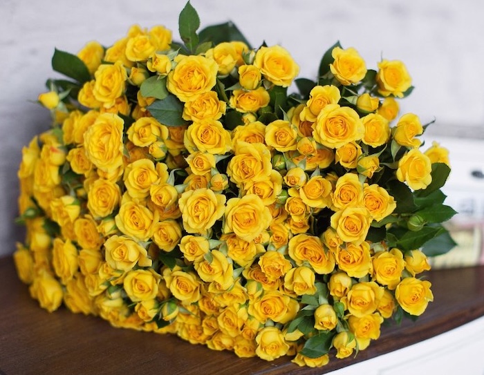 желтые розы